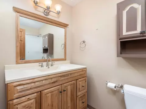 332 Ridge Rd, Mayer, MN 55360 photo 24