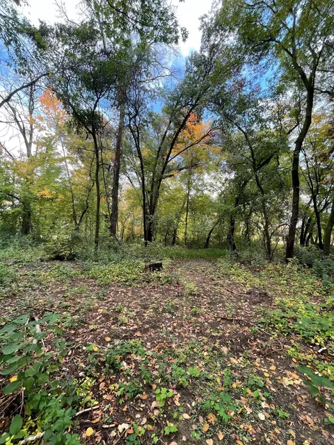 Xxxx4 Elmcrest Avenue, Stacy, MN 55079
