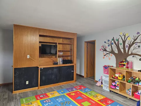 230 3rd Ave NE, Spring Grove, MN 55974 photo 15