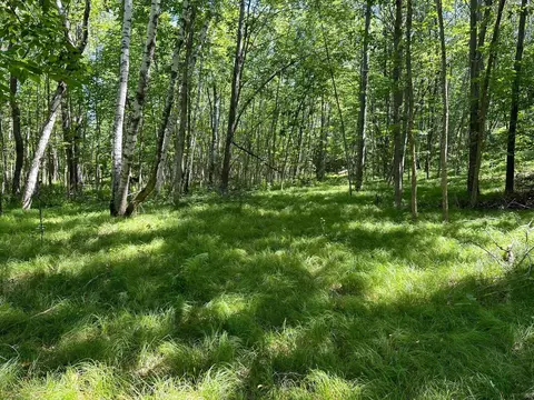 3912 4th St NW, Backus, MN 56435 photo 50