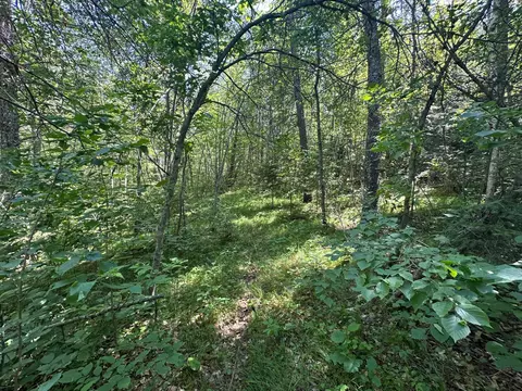 3912 4th St NW, Backus, MN 56435 photo 45