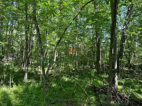 3912 4th St NW, Backus, MN 56435 photo 55