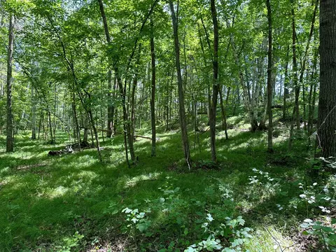 3912 4th St NW, Backus, MN 56435 photo 47