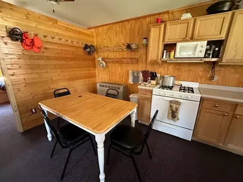 1548 Whyte Rd, Two Harbors, MN 55616 photo 2