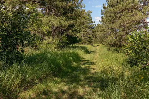 320 Main St E, Nevis, MN 56467 photo 41