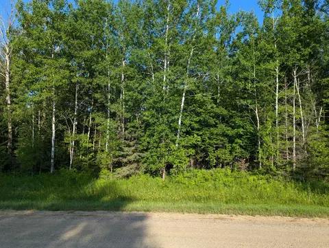 Tbd Tbd, Tenstrike, MN 56647