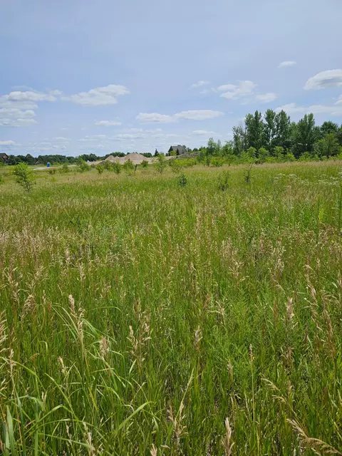 lot4 Country Estates Ct NW, Alexandria, MN 56308