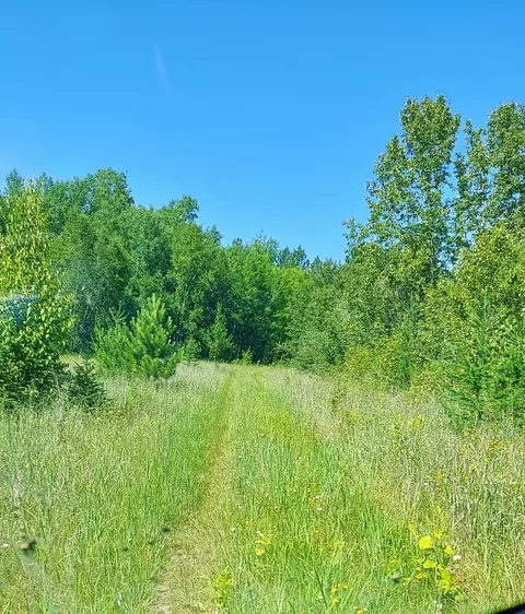 11172 County Road 25, Mizpah, MN 56660