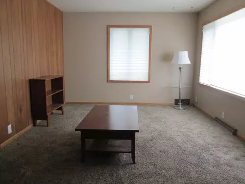 722 Pine St, Kenyon, MN 55946 photo 11