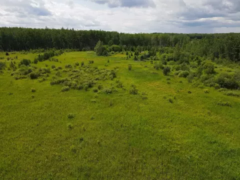 tbd County Road 42, Effie, MN 56639 photo 4