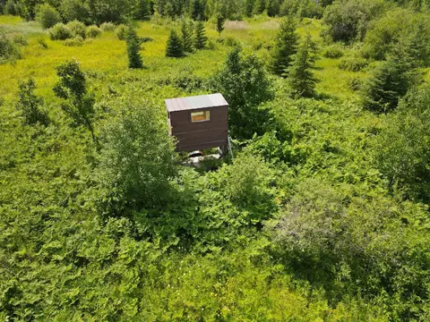 tbd County Road 42, Effie, MN 56639 photo 3