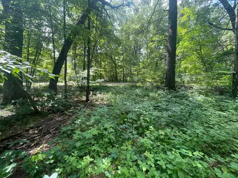 Tbd Gumwood Ln, Motley, MN 56466