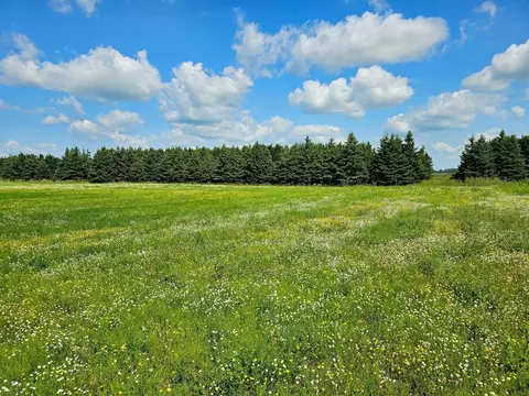 334 Nn Co Hwy 77, Wadena, MN 56482