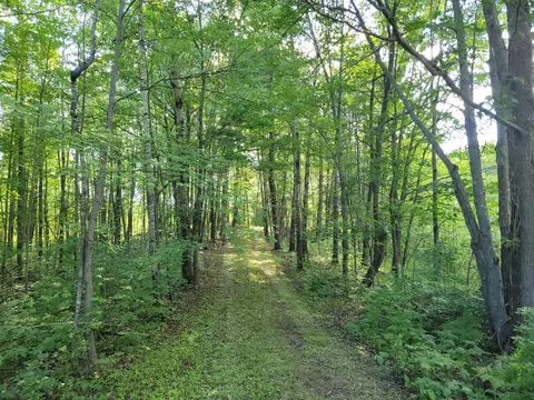 53065 Sjodahl Rd, Sandstone, MN 55072