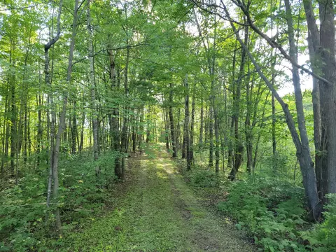 53065 Sjodahl Rd, Sandstone, MN 55072