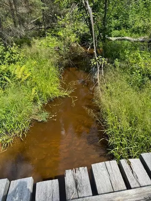 Xx40 Acres W Center Road, Holyoke, MN 55707