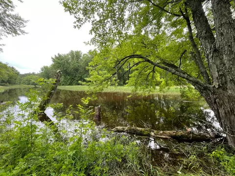 tbd County Road 11, Crosby, MN 56441