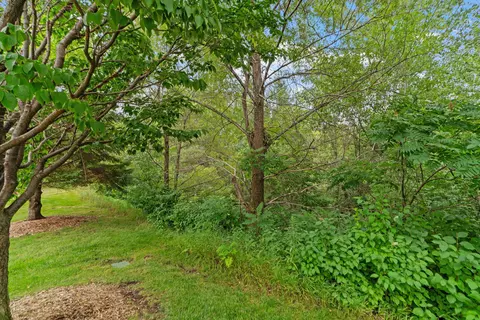 8557 121st Ave N, Champlin, MN 55316 photo 34