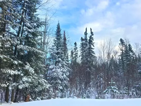 49631 E Long Lake Trl, Bigfork, MN 56628 photo 19