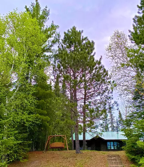 49631 E Long Lake Trl, Bigfork, MN 56628 photo 30