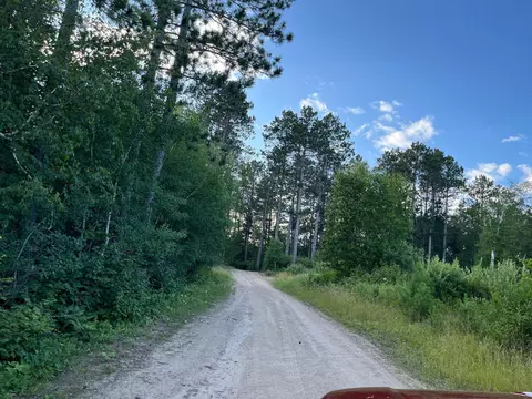 49631 E Long Lake Trl, Bigfork, MN 56628 photo 12