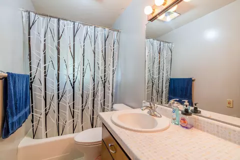 206 E 1st St, Delavan, MN 56023 photo 4