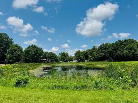 12916 Pilgrim Ln N, Champlin, MN 55316 photo 19