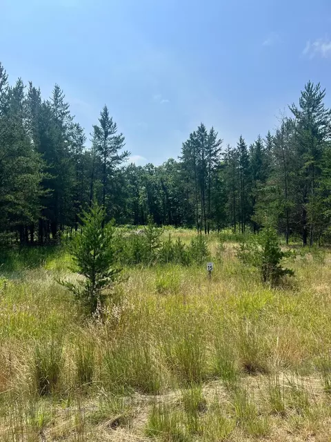 34007 Twin Oaks Loop, Motley, MN 56466
