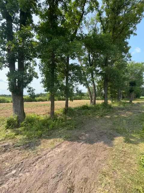 20141 60th Ave, Milaca, MN 56353 photo 8