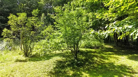 2323 150th St, Milltown, WI 54853 photo 24