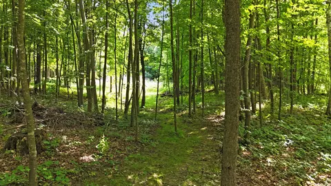 2323 150th St, Milltown, WI 54853 photo 16