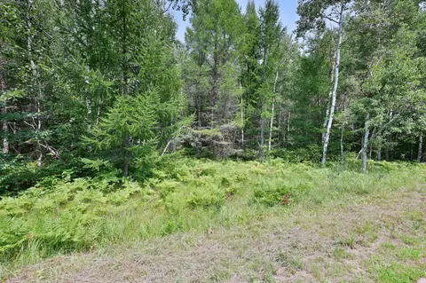 lot5 Black Brk, Webster, WI 54893 photo 3