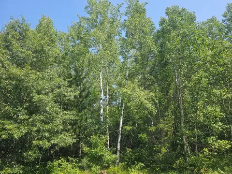 lot5 Black Brk, Webster, WI 54893 photo 8