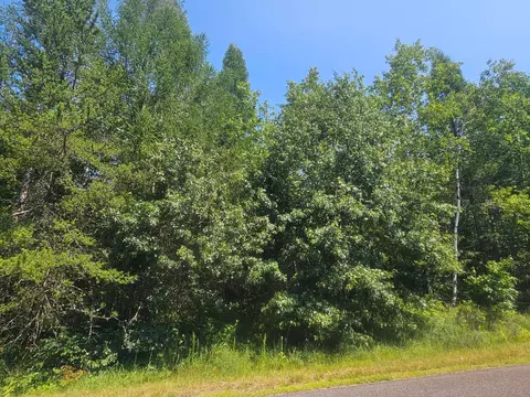 lot5 Black Brk, Webster, WI 54893 photo 6