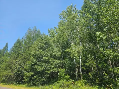 lot5 Black Brk, Webster, WI 54893 photo 7