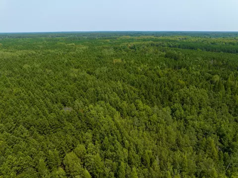 lot5 Black Brk, Webster, WI 54893 photo 5