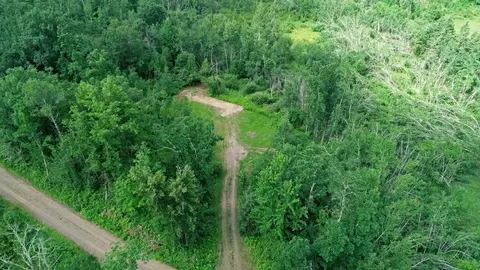 60889 Beehive Ln, New Dosey Twp, MN 55072