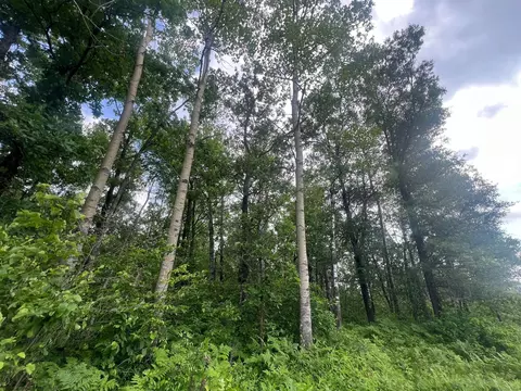 tbd County Highway M, Springbrook, WI 54875 photo 15