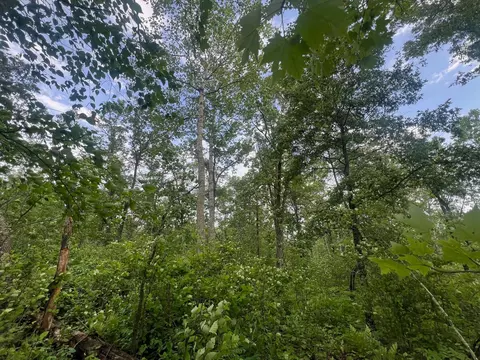 tbd County Highway M, Springbrook, WI 54875 photo 22
