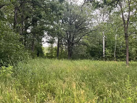 Nnn Mcnally Road, Willow River, MN 55795