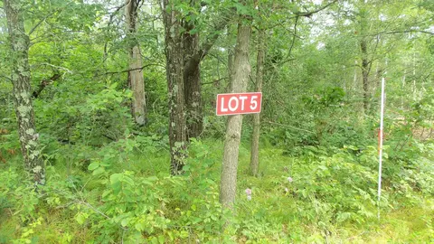 lot5 Deerfield Rd, Chicog Twp, WI 54888