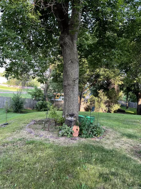 660 Miller Ave, Windom, MN 56101 photo 42