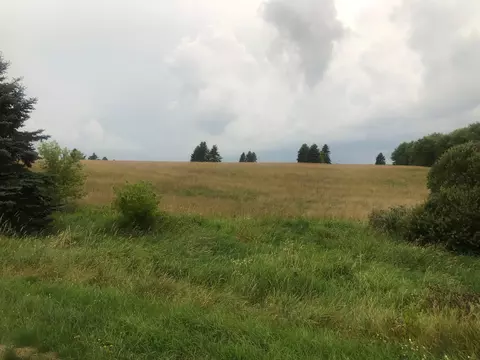 lot14 116, Black Brook Twp, WI 54007