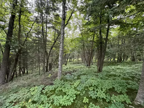 tbd 4 Chokecherry Dr, Nevis, MN 56467