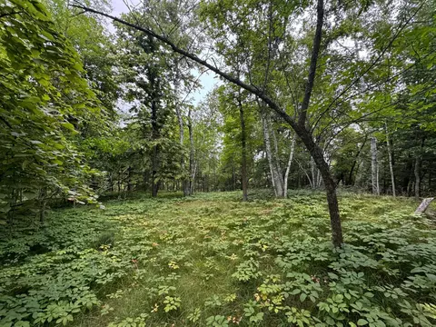 tbd 5 Cedar Dr, Nevis, MN 56467 photo 2