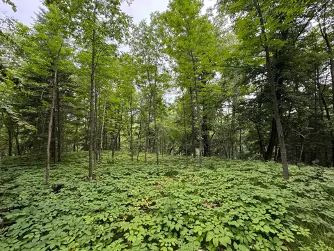 tbd 5 Cedar Dr, Nevis, MN 56467 photo 3