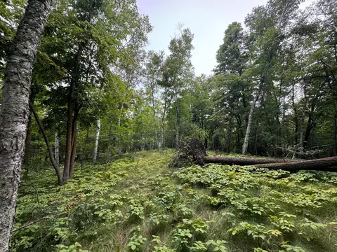 tbd 5 Cedar Dr, Nevis, MN 56467