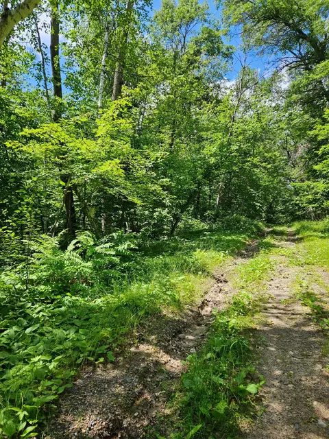 lot S 50-53 Snoquainie Ln, Breezy Point, MN 56472