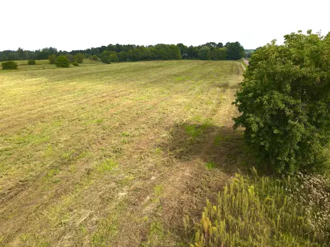 tbd 25ac 90th Ave, Bogus Brook Twp, MN 55371