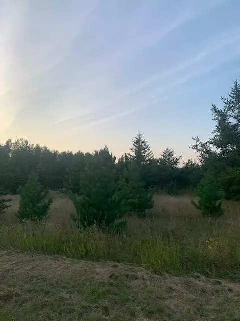 tbd Pine Cir, Breezy Point, MN 56472